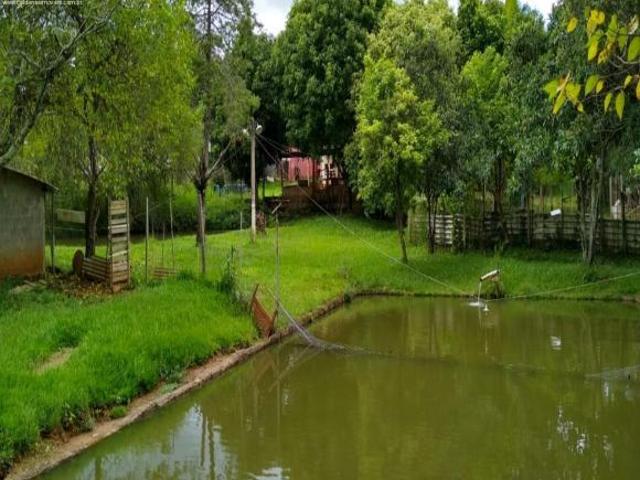Sítio e chácara venda em Região Geográfica Imediata de Poços de Caldas, Campestre