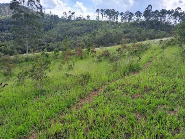 Sítio e chácara venda em Região Geográfica Imediata de Poços de Caldas, Andradas