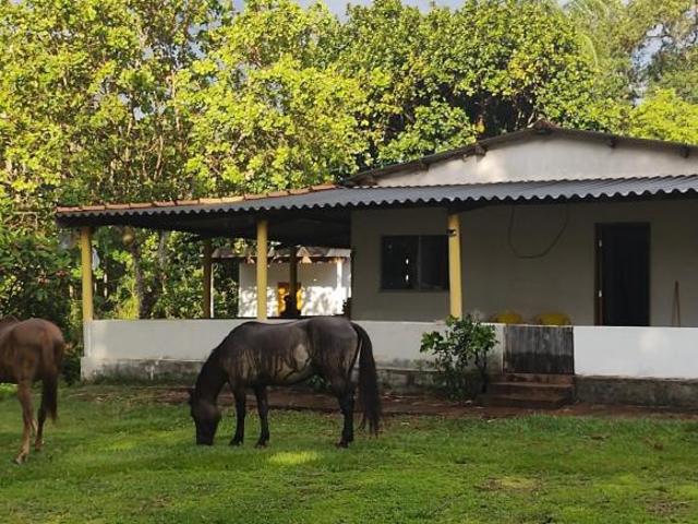 Sítio e chácara venda em Vila Antonieta, Campo Grande