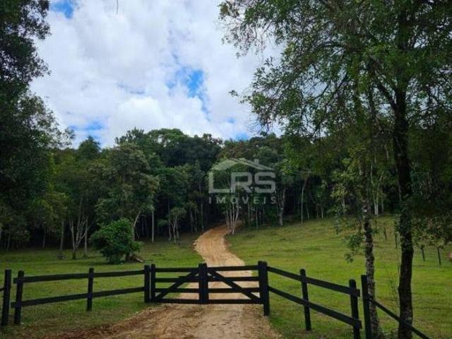 Sítio e chácara venda em Centro, Campo Largo