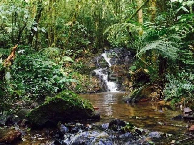Sítio e chácara venda em Campo Largo, Região Geográfica Intermediária de Curitiba