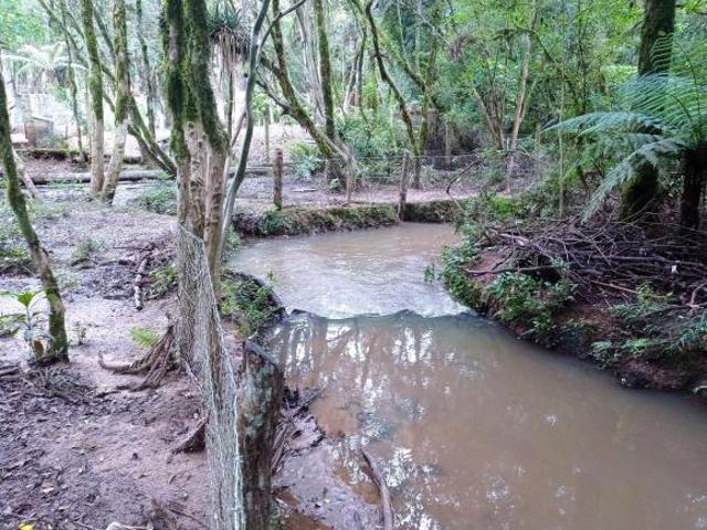 Terreno venda em Região Geográfica Imediata de Curitiba, Região Metropolitana de Curitiba