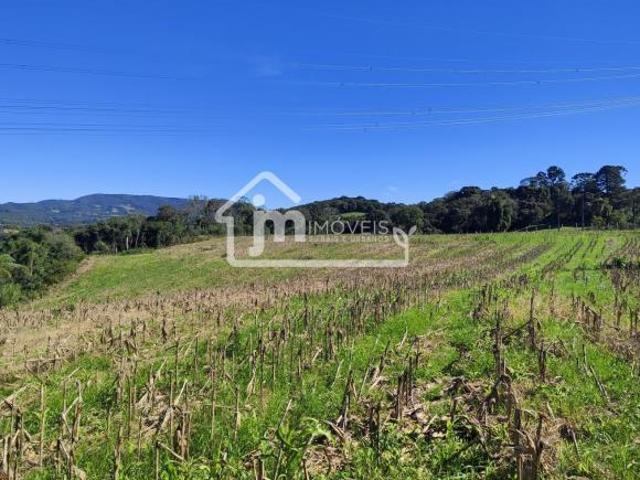Sítio e chácara venda em Região Geográfica Imediata de Curitiba, Região Metropolitana de Curitiba