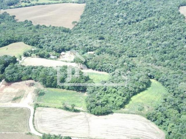 Sítio e chácara venda em Campo Largo, Região Geográfica Intermediária de Curitiba