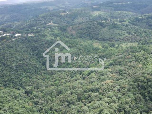 Sítio e chácara venda em Região Geográfica Imediata de Curitiba, Região Metropolitana de Curitiba