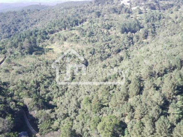 Sítio e chácara venda em Região Geográfica Imediata de Curitiba, Região Metropolitana de Curitiba