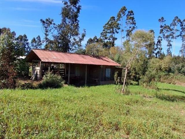 Sítio e chácara venda em Três Córregos, Campo Largo