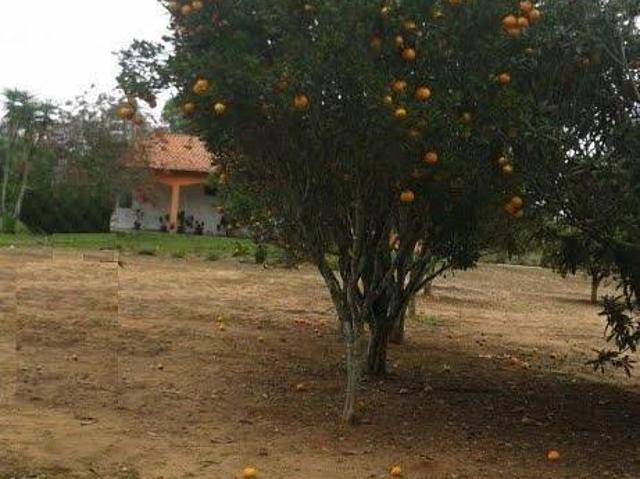 Sítio e chácara venda em Região Imediata de Itapeva, Capão Bonito