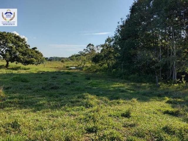 Sítio e chácara venda em Palmeiras de Goiás, Região Geográfica Intermediária de São Luís de Montes Belos-Iporá