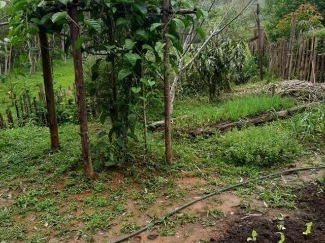 Sítio e chácara venda em Região Imediata de Caraguatatuba-Ubatuba-São Sebastião, Região Metropolitana do Vale do Paraíba e Litoral Norte