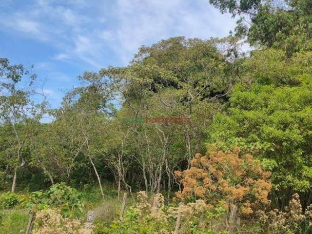 Sítio e chácara venda em Campos, Carmo da Mata