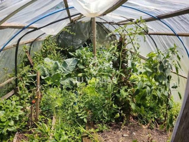 Sítio e chácara venda em Região Geográfica Imediata de Pelotas, Aglomeração Urbana do Sul