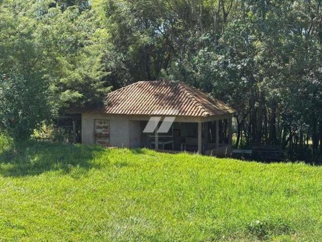 Sítio e chácara venda em Independência, Cascavel