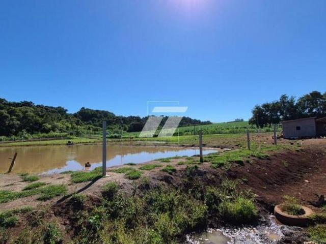Sítio e chácara venda em Região Geográfica Imediata de Cascavel, Cascavel