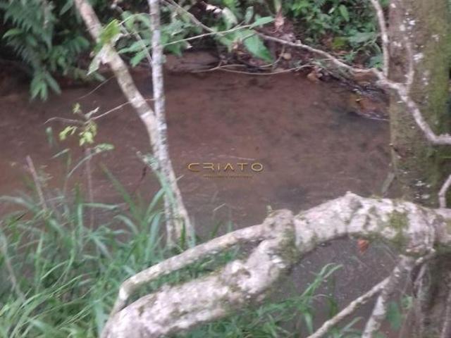 Sítio e chácara venda em Abadiânia, Região Geográfica Intermediária de Goiânia