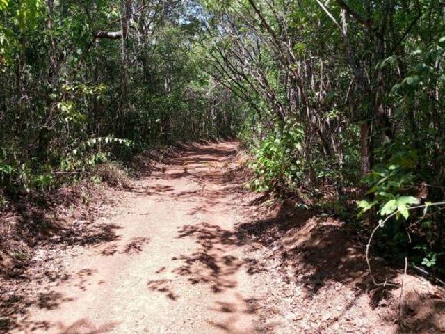 Sítio e chácara venda em Região Geográfica Imediata de Anápolis, Região Integrada de Desenvolvimento do Distrito Federal e Entorno