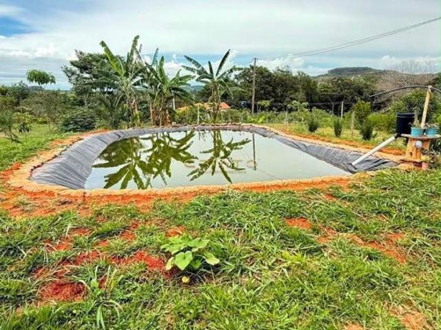 Sítio e chácara venda em Região Geográfica Imediata de Anápolis, Região Integrada de Desenvolvimento do Distrito Federal e Entorno