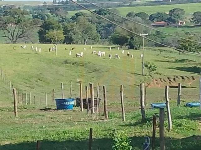 Sítio e chácara venda em Região Imediata de Adamantina-Lucélia, Adamantina
