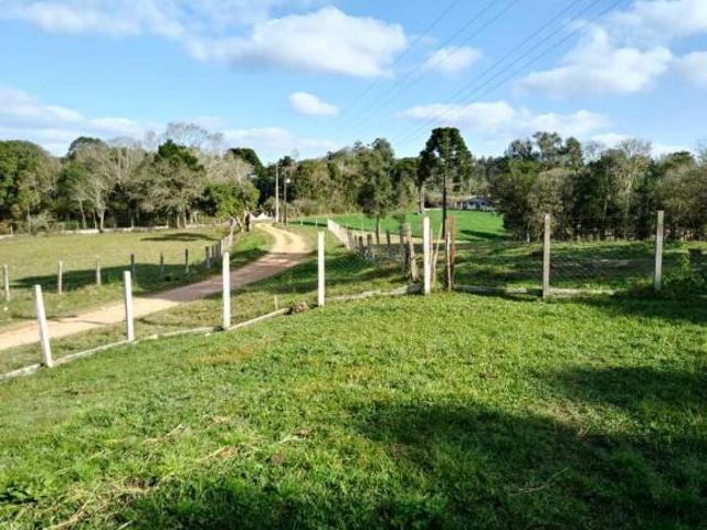 Sítio e chácara venda em Região Geográfica Imediata de Curitiba, Região Metropolitana de Curitiba