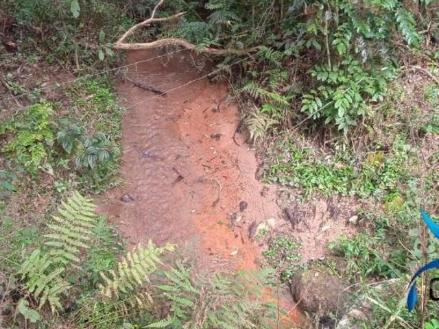 Sítio e chácara venda em Região Geográfica Imediata de Curitiba, Região Metropolitana de Curitiba