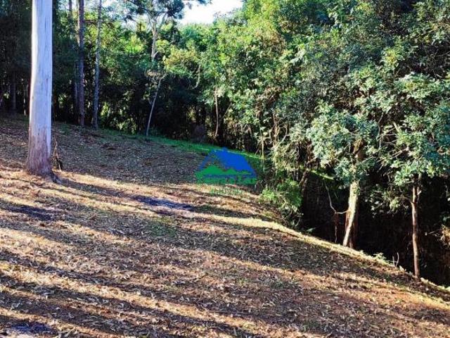 Sítio e chácara venda em Região Geográfica Imediata de Caxambu - Baependi, Aiuruoca