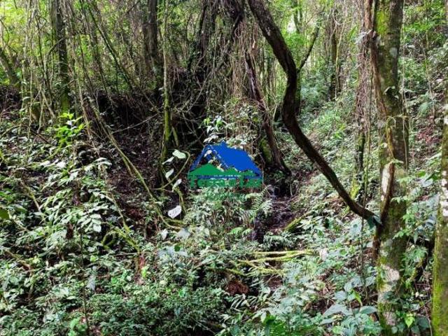 Sítio e chácara venda em Aiuruoca, Região Geográfica Intermediária de Pouso Alegre
