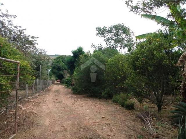 Sítio e chácara venda em Região Geográfica Imediata de Alfenas, Alfenas