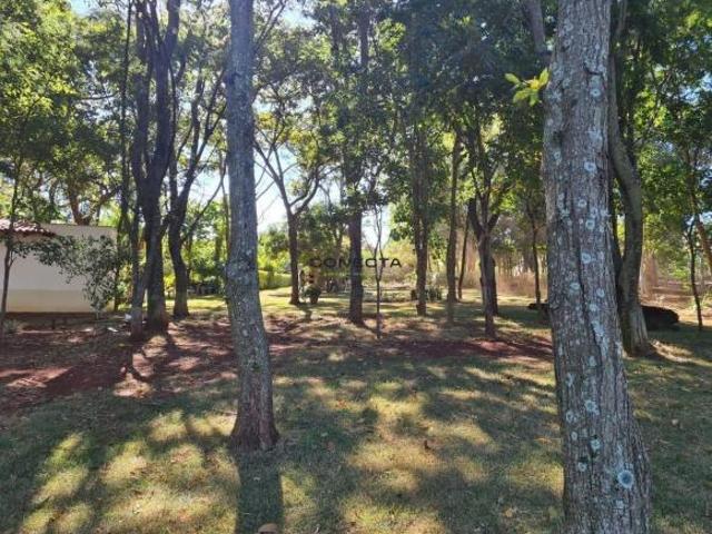 Sítio e chácara venda em Região Geográfica Imediata de Londrina, Alvorada do Sul