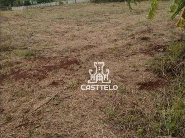 Sítio e chácara venda em Região Geográfica Imediata de Londrina, Alvorada do Sul
