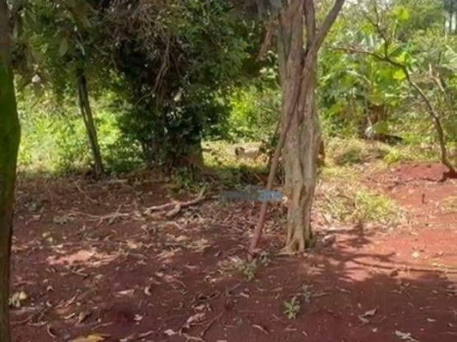 Sítio e chácara venda em Região Geográfica Imediata de Londrina, Alvorada do Sul