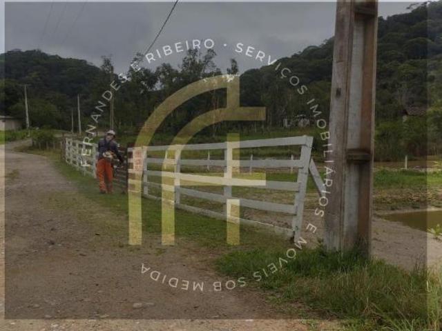 Sítio e chácara venda em Penha, Antonina
