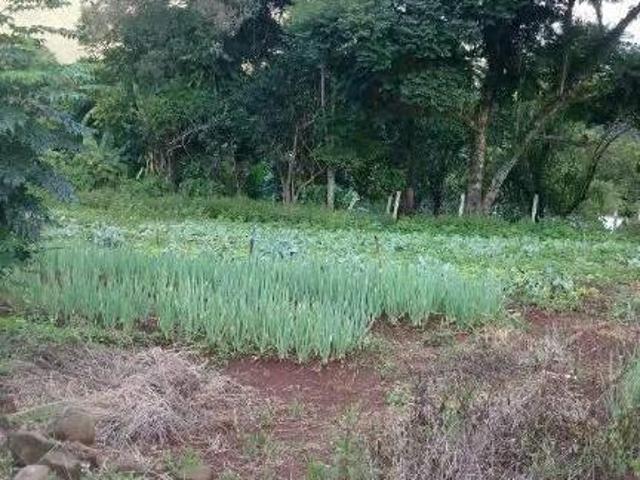 Sítio e chácara venda em Região Geográfica Imediata de Caxias do Sul, São Marcos
