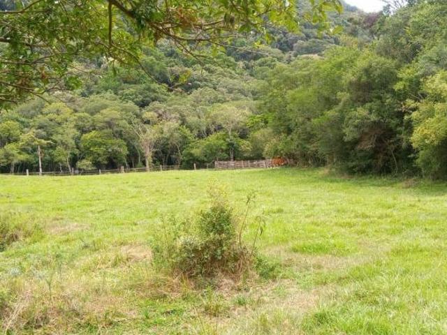 Sítio e chácara venda em Três Barras, Santa Maria