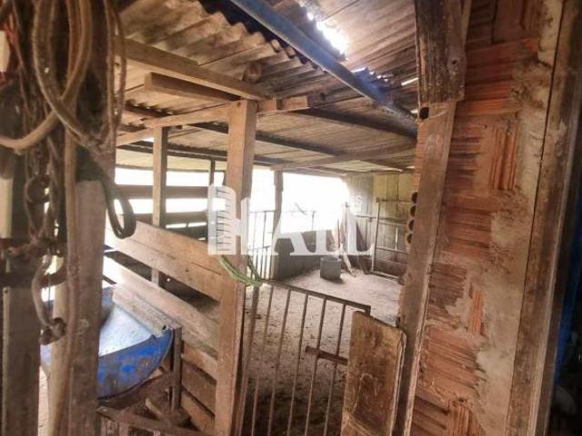 Sítio e chácara venda em Região Imediata de São José do Rio Preto, Região Metropolitana de São José do Rio Preto