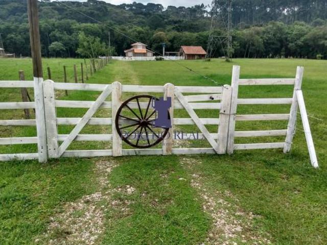 Sítio e chácara venda em Bugre, Balsa Nova