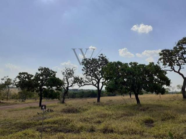 Sítio e chácara venda em Recanto da Mata, Bela Vista de Goiás