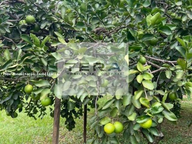 Sítio e chácara venda em Centro, Bela Vista de Goiás