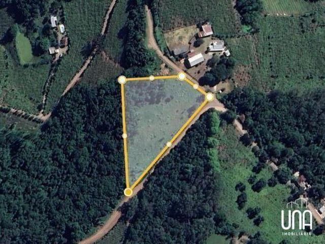 Sítio e chácara venda em Faria Lemos, Bento Gonçalves