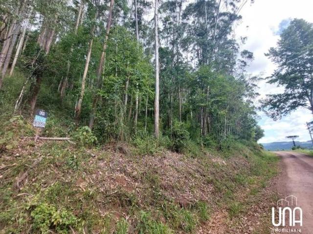 Sítio e chácara venda em Faria Lemos, Bento Gonçalves