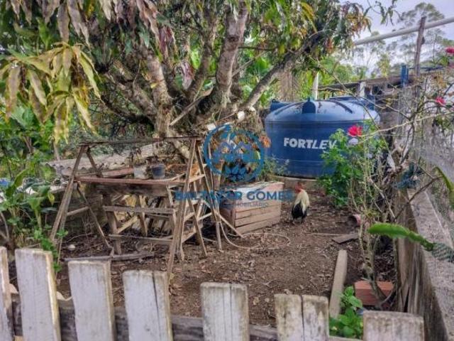 Sítio e chácara venda em Região Imediata de São Paulo, Região Metropolitana de São Paulo