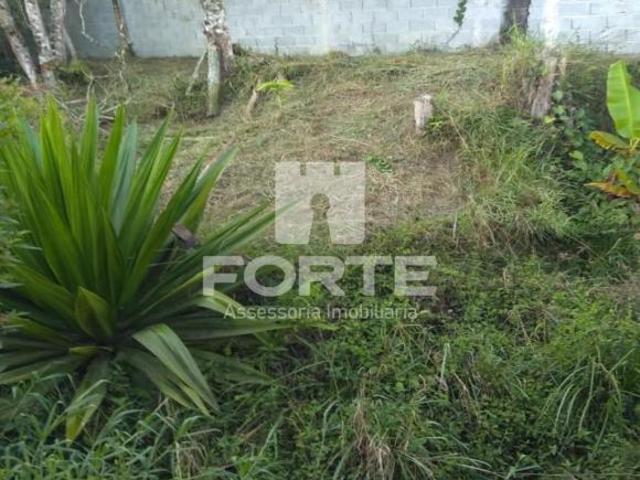 Sítio e chácara venda em Biritiba Mirim