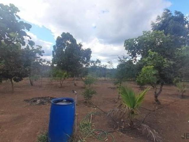 Sítio e chácara venda em Região Geográfica Imediata de Montes Claros, Bocaiúva
