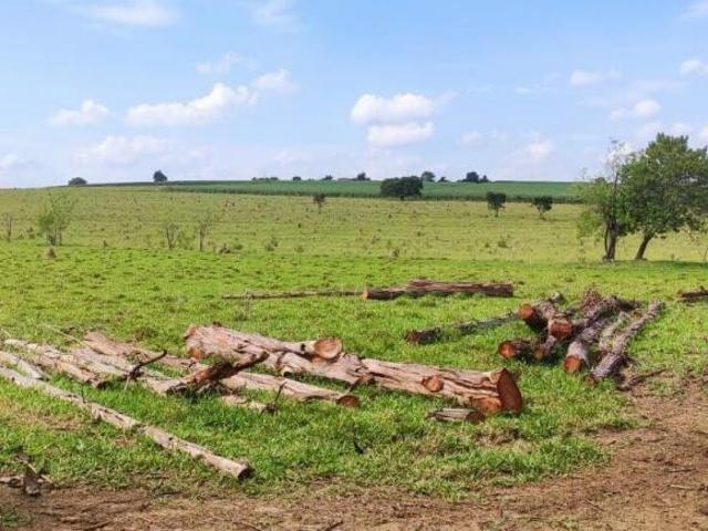 Sítio e chácara venda em Região Imediata de Sorocaba, Região Metropolitana de Sorocaba