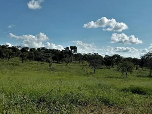 Sítio e chácara venda em Região Geográfica Imediata de Gurupi, Formoso do Araguaia
