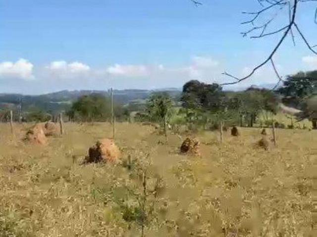 Sítio e chácara venda em Região Geográfica Imediata de Oliveira, Bonfim
