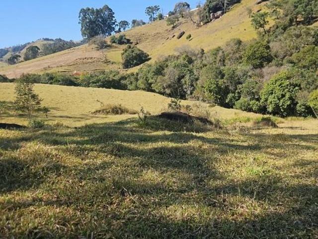 Sítio e chácara venda em Borda da Mata, Região Geográfica Intermediária de Pouso Alegre