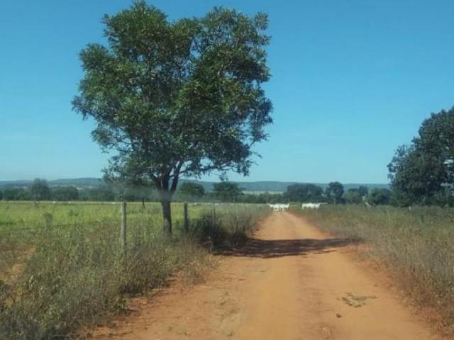Sítio e chácara venda em Região Geográfica Imediata de Pirapora, Buritizeiro