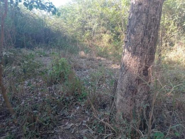 Sítio e chácara venda em Região Geográfica Imediata de Pirapora, Buritizeiro
