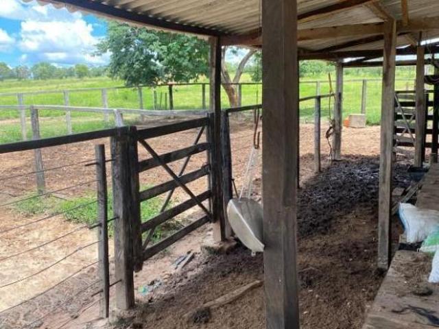 Sítio e chácara venda em Alto São Francisco, Buritizeiro