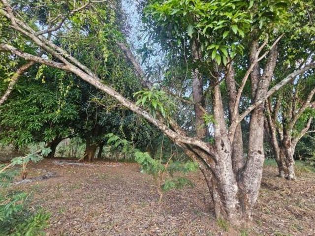 Sítio e chácara venda em Região Geográfica Imediata de Belo Horizonte, Região Metropolitana de Belo Horizonte